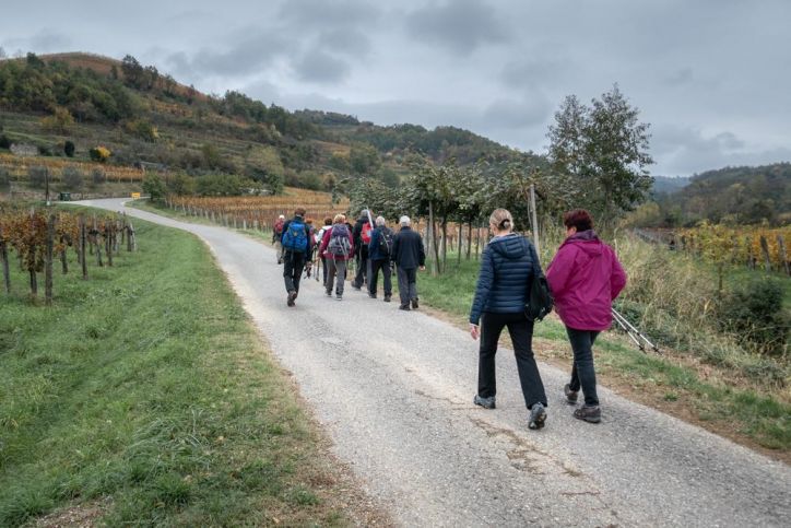 ZAKLJUČNI IZLET PO BRIŠKIH GMAJNAH, 10.11.2018 - PS PT Nova Gorica